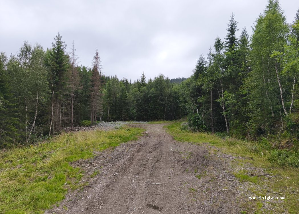 (7510) Stjørdal - Unnamed Road — foto