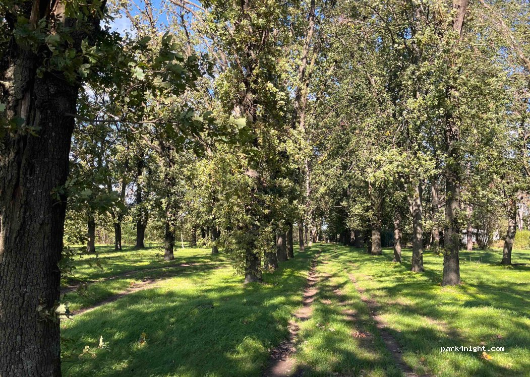 (23273) Kikinda - Unnamed Road — foto 2