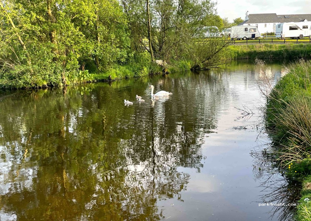 Ballyness Caravan Park — foto 3