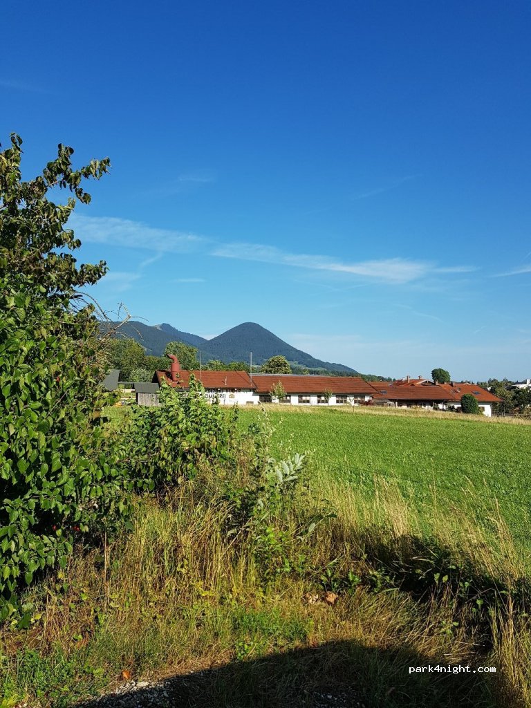 (85630) Höhenkirchener Forst - Grasbrunner Geräumt — foto