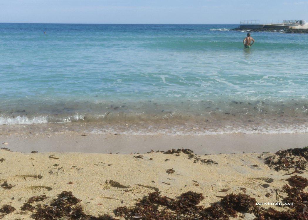 (70042) Cozze - 3 Lungomare Zara — foto 4