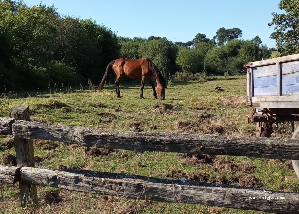 (53120) Brécé - 21 Les Abatis — foto 2