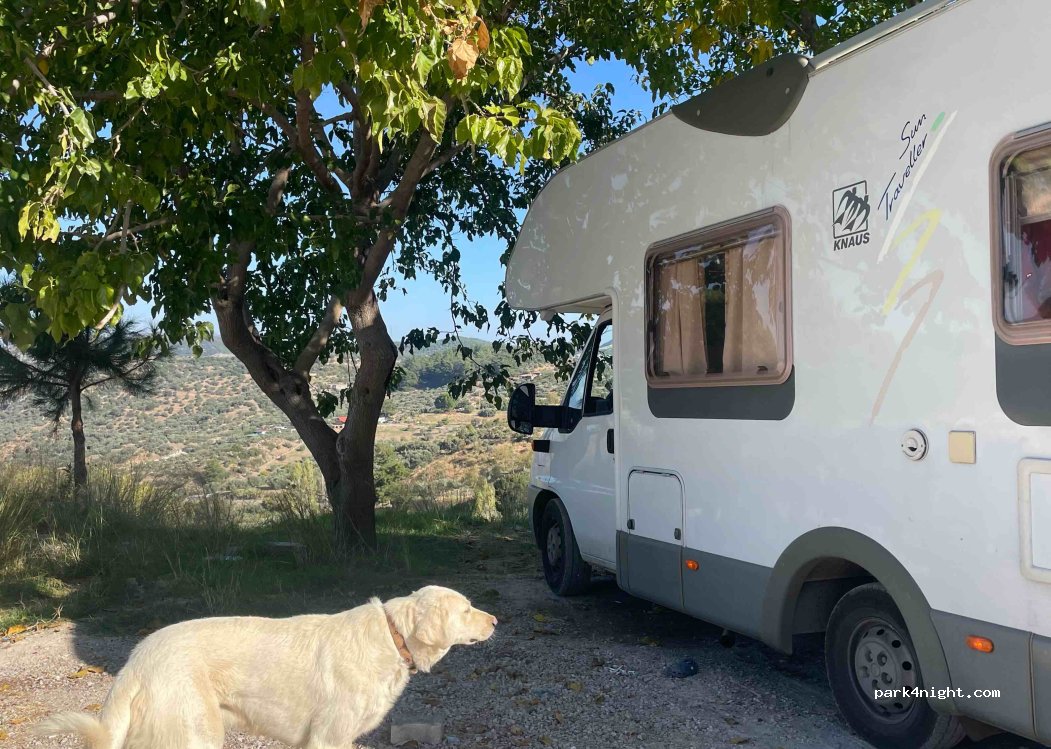 (35920) Selçuk - 8 219. Sokak — foto