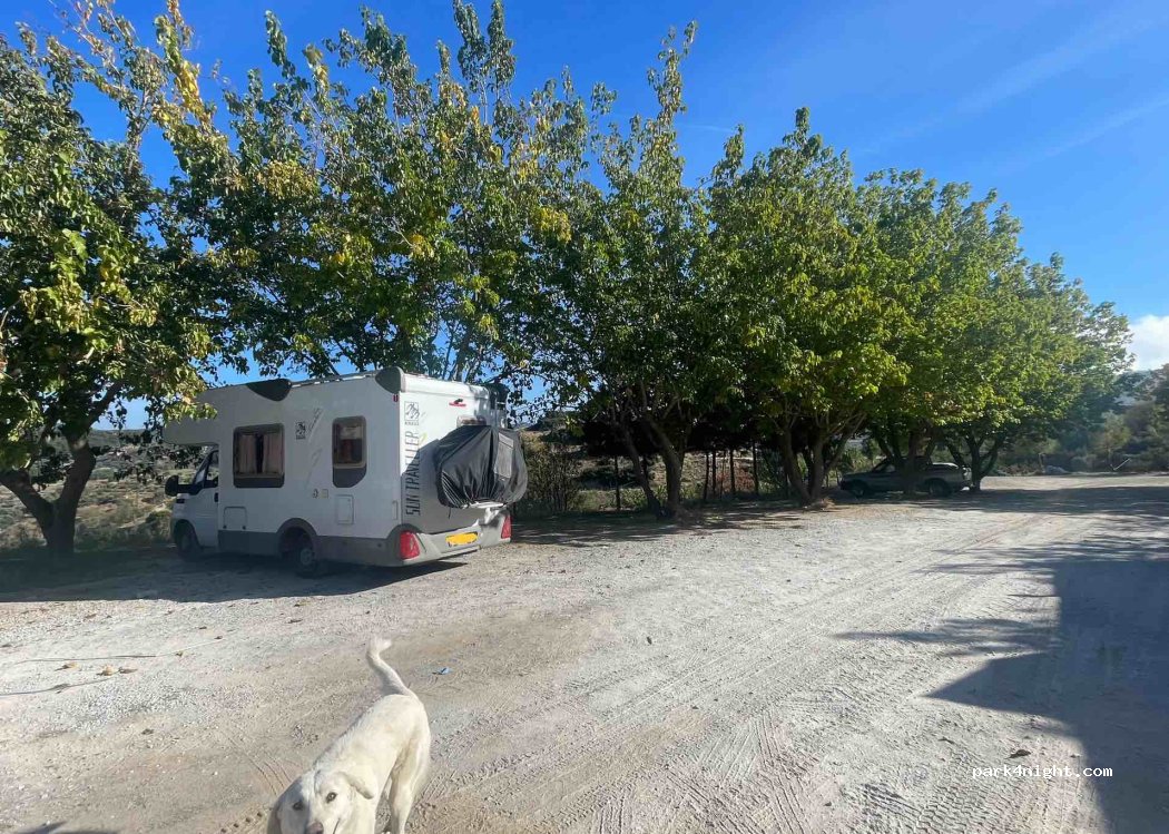 (35920) Selçuk - 8 219. Sokak — foto 2