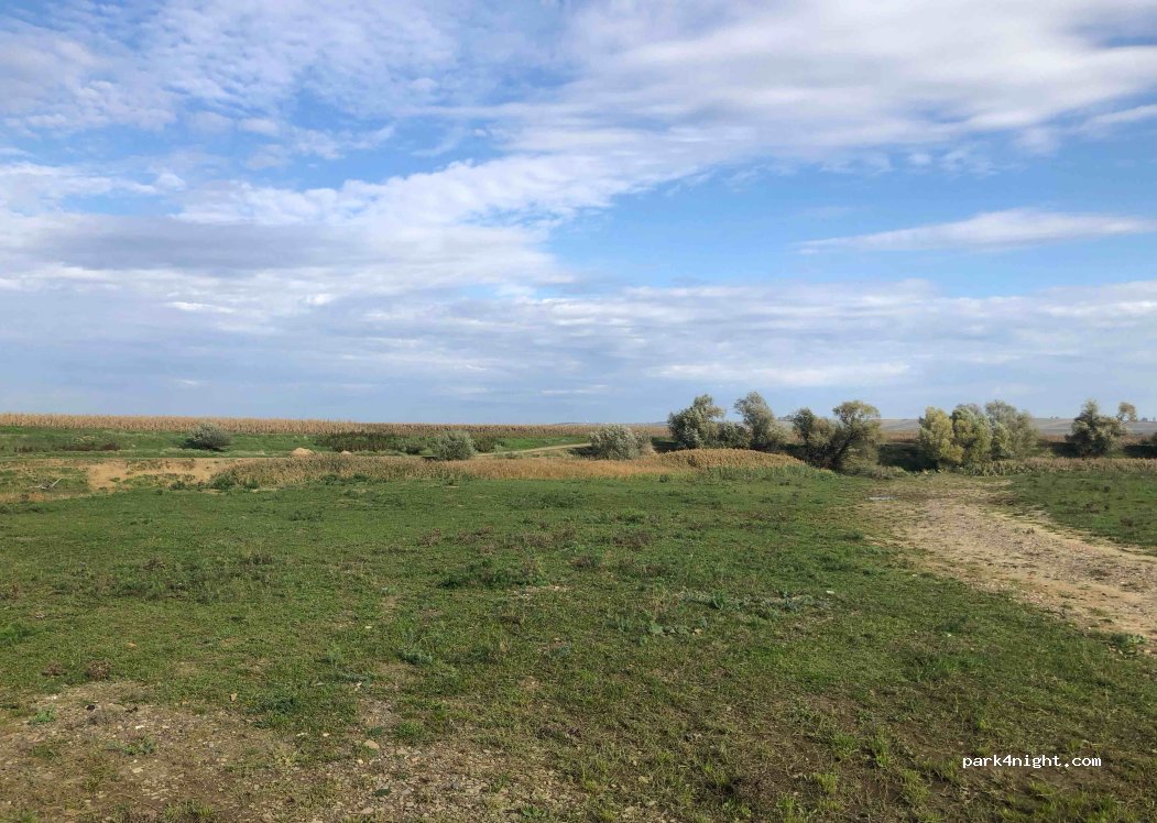 (727225) Dumbrăveni - — foto