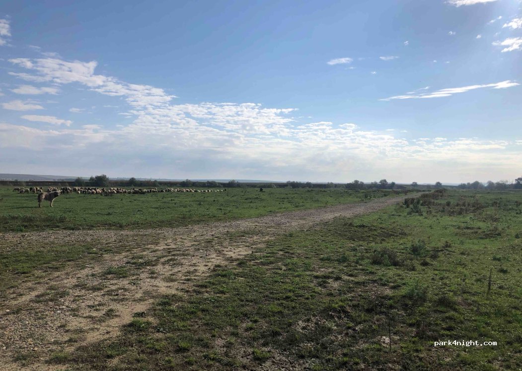 (727225) Dumbrăveni - — foto 2