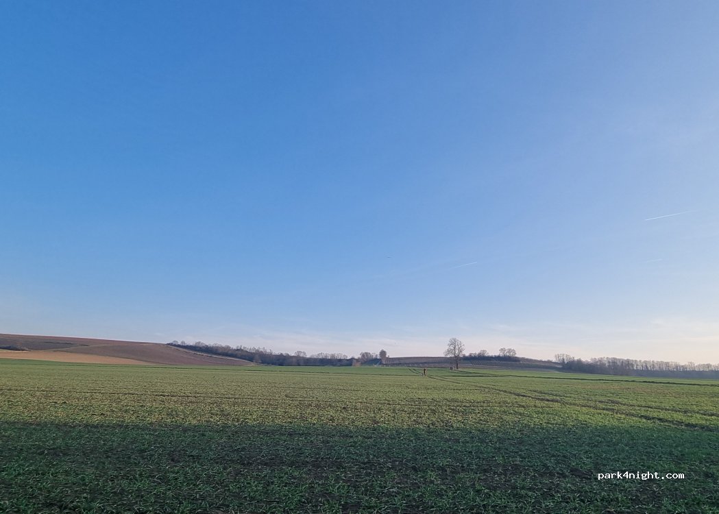 Weingut Schott Wohnmobil-Stellplätze — foto 5