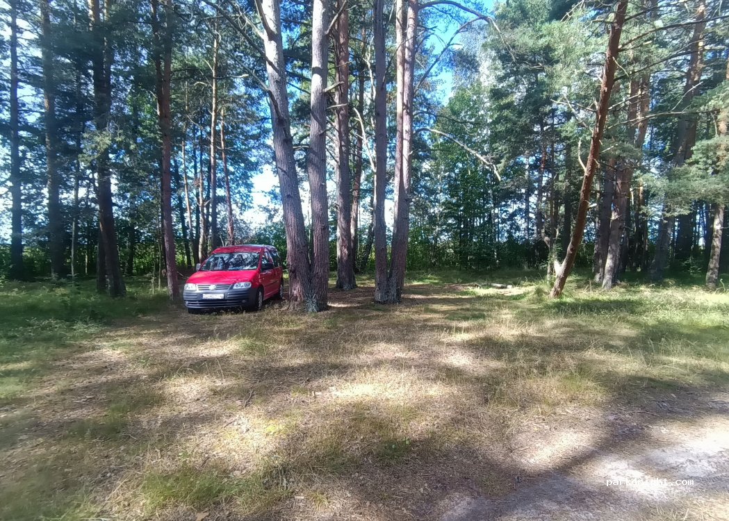 (LV-3113)  -  Unnamed Road — foto 5