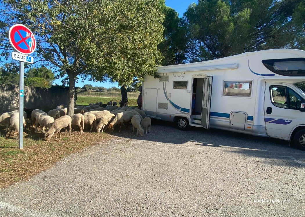 (30132) Caissargues - Chem. de Bellecoste — foto