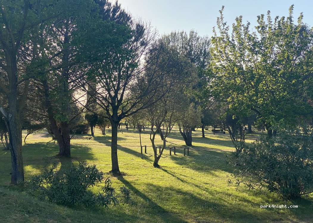 (30132) Caissargues - Chem. de Bellecoste — foto 4