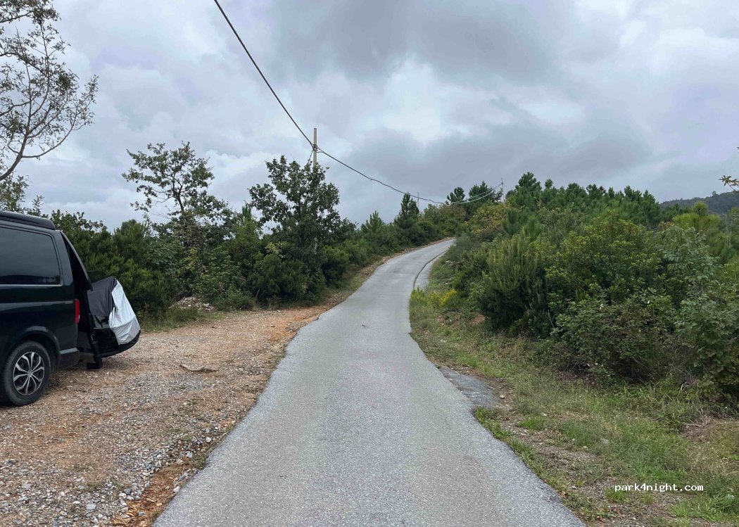 (17047) Segno - 27B Via Gavotti — foto
