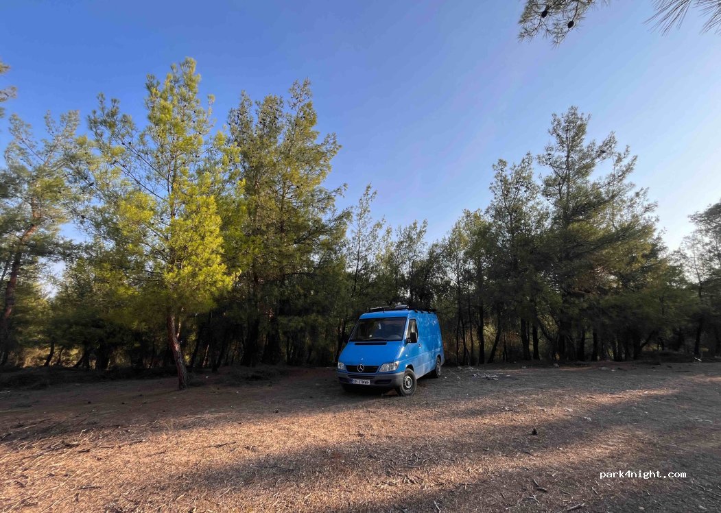 (09370) Dandalas Mevkii - — foto