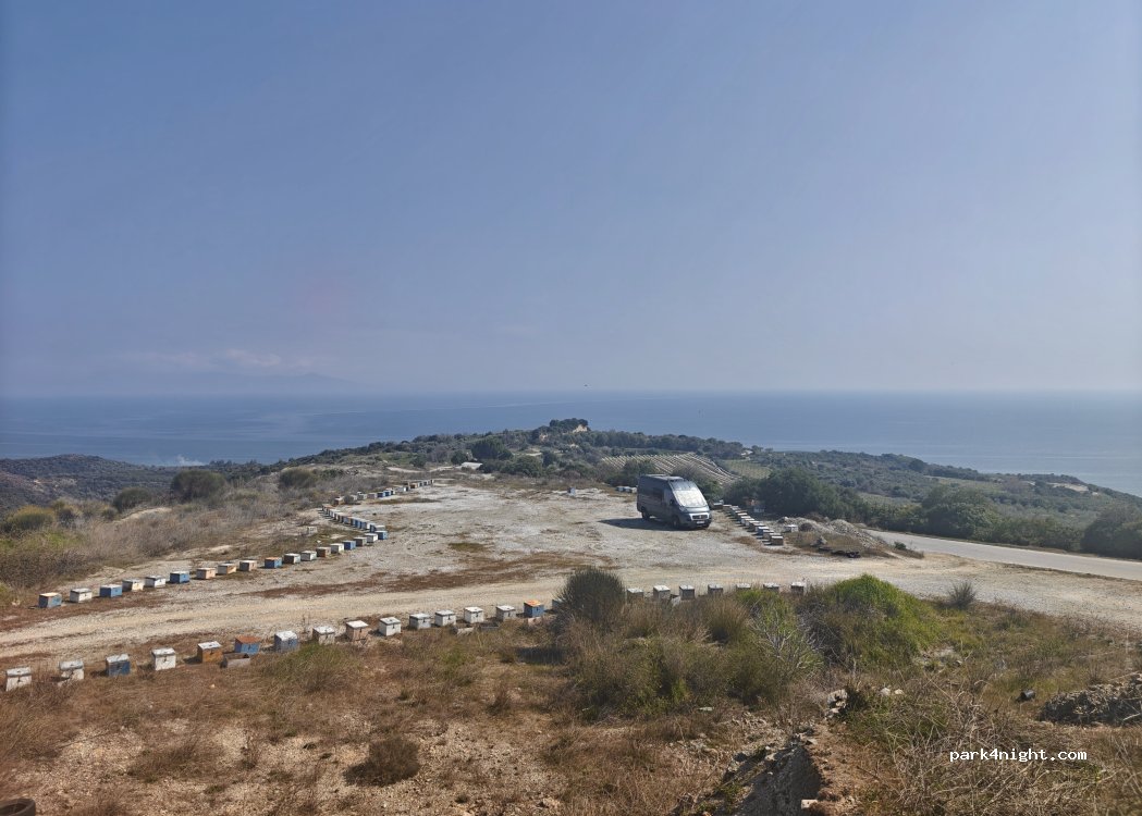 (64007) Folia - Διακλάδωση Φωλιάς — foto 4
