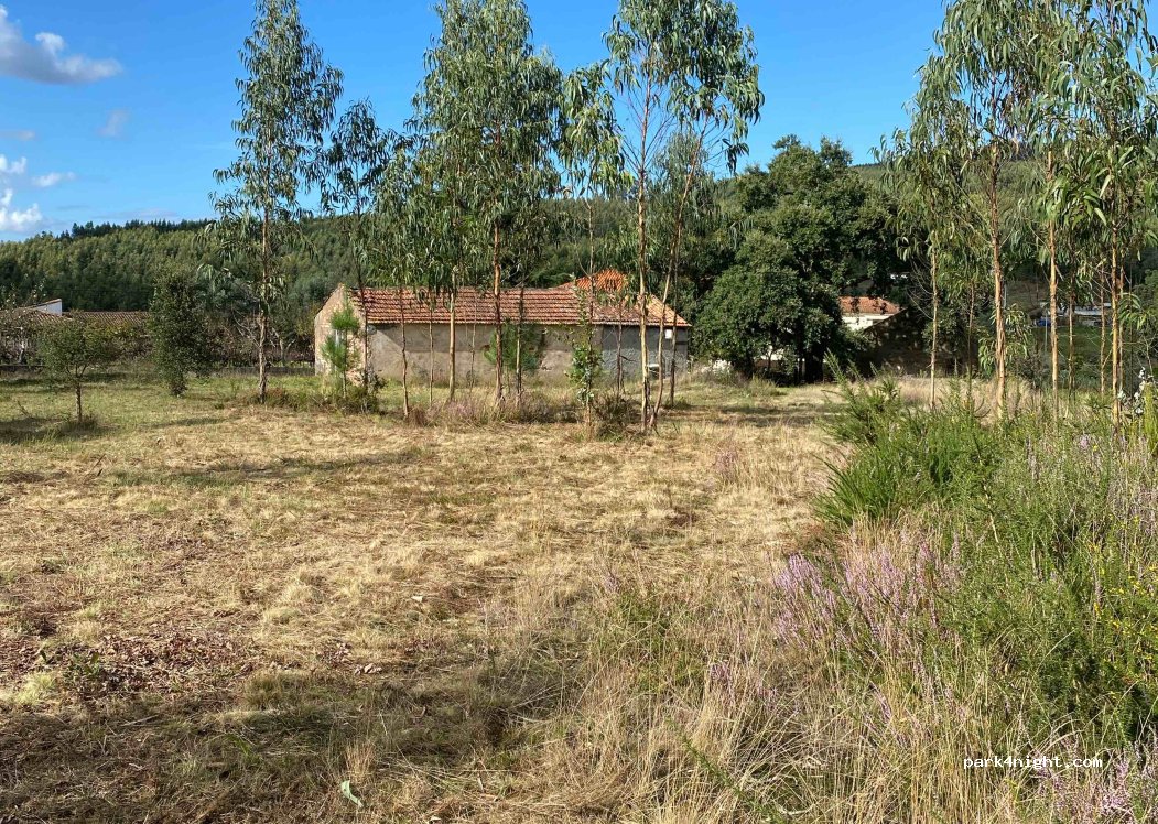 (3330) Góis - R. de Campelo 44 — foto