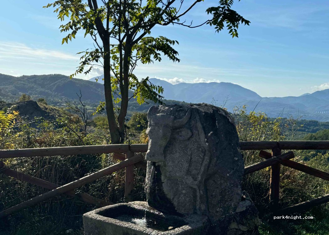 (85048) Rotonda - Unnamed Road — foto
