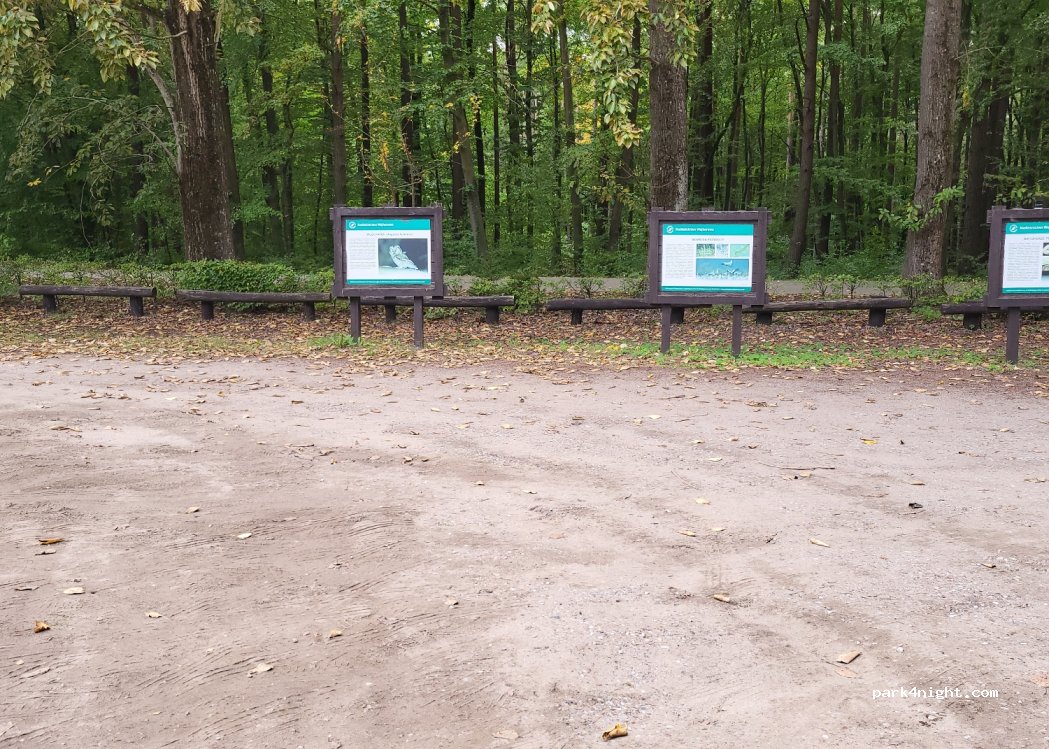 (84-200) Kąpino - 8 Osada leśna — foto