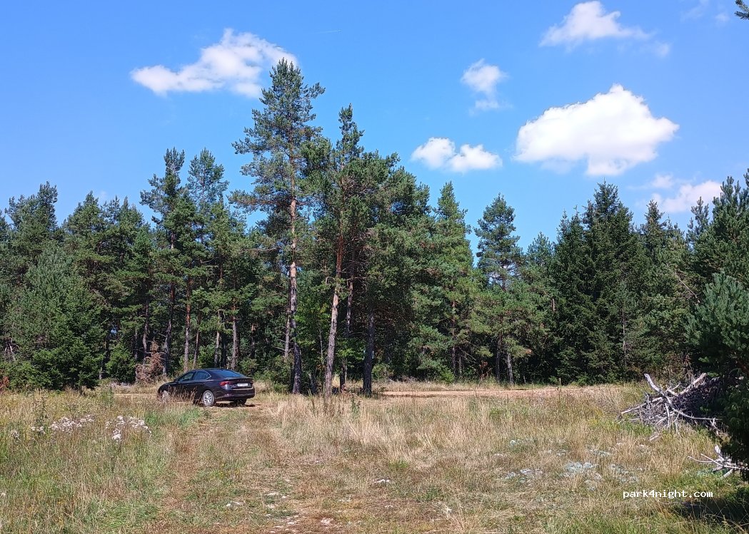 (36310) Gornje Lopiže - Unnamed Road — foto 2