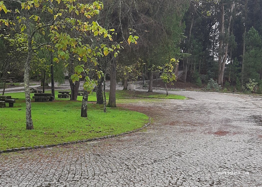 (3515-415) Viseu - 60 Avenida da Liberdade — foto 4