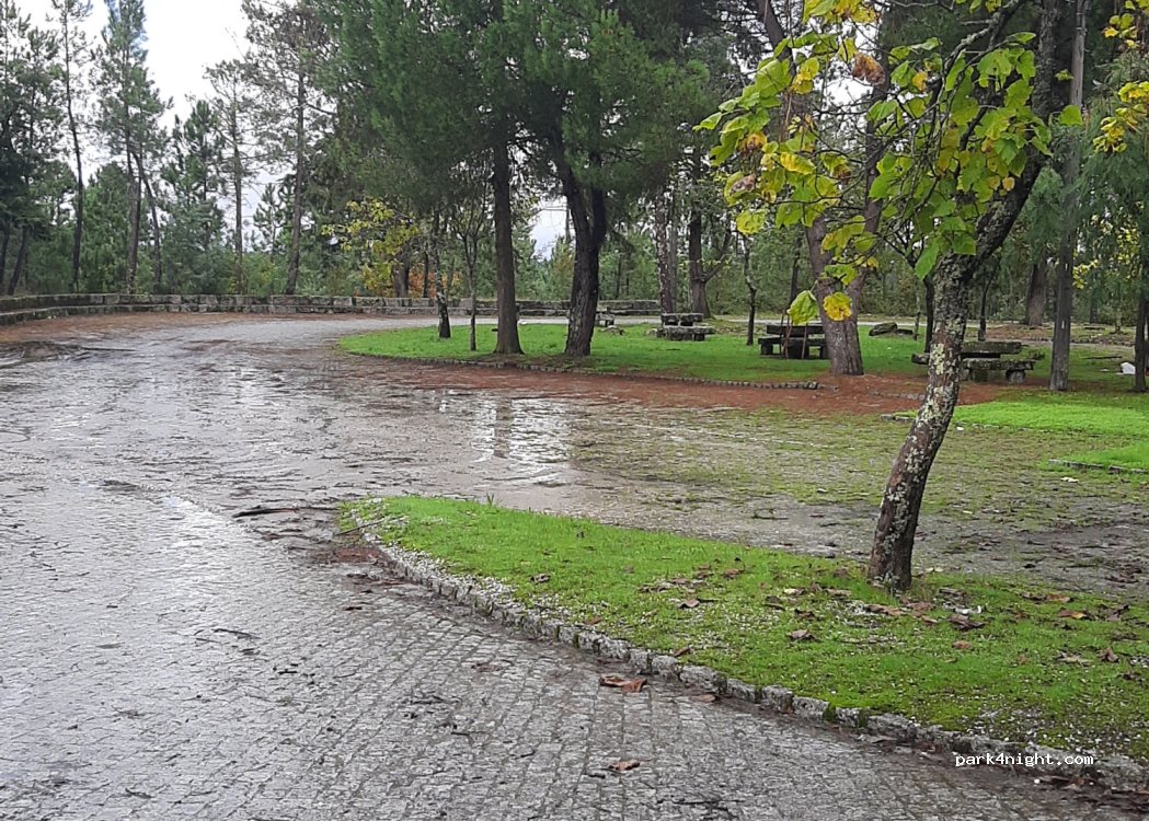 (3515-415) Viseu - 60 Avenida da Liberdade — foto 5