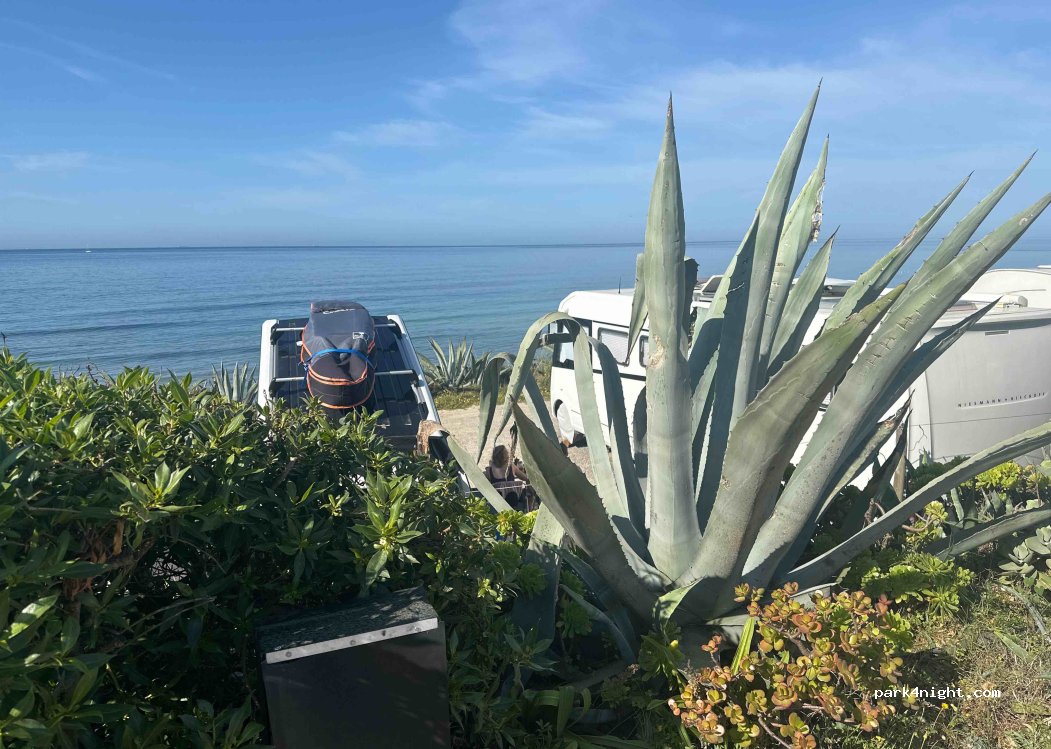Camping Torre — foto 4