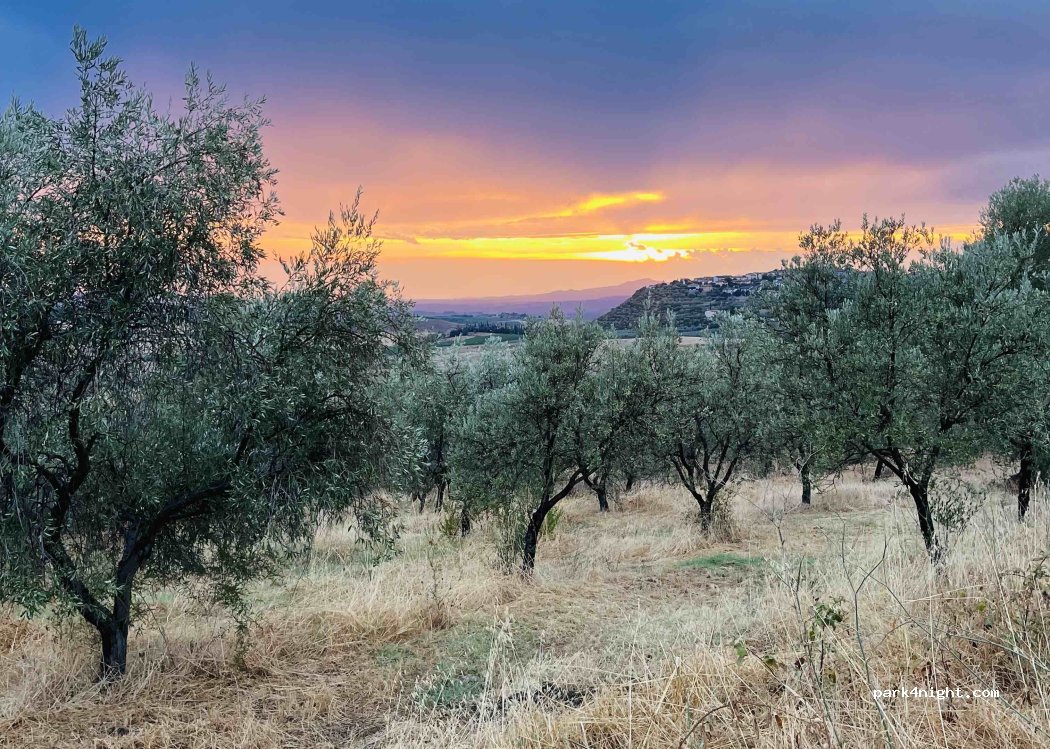 Terre di Chiara Agriristoro — foto 5