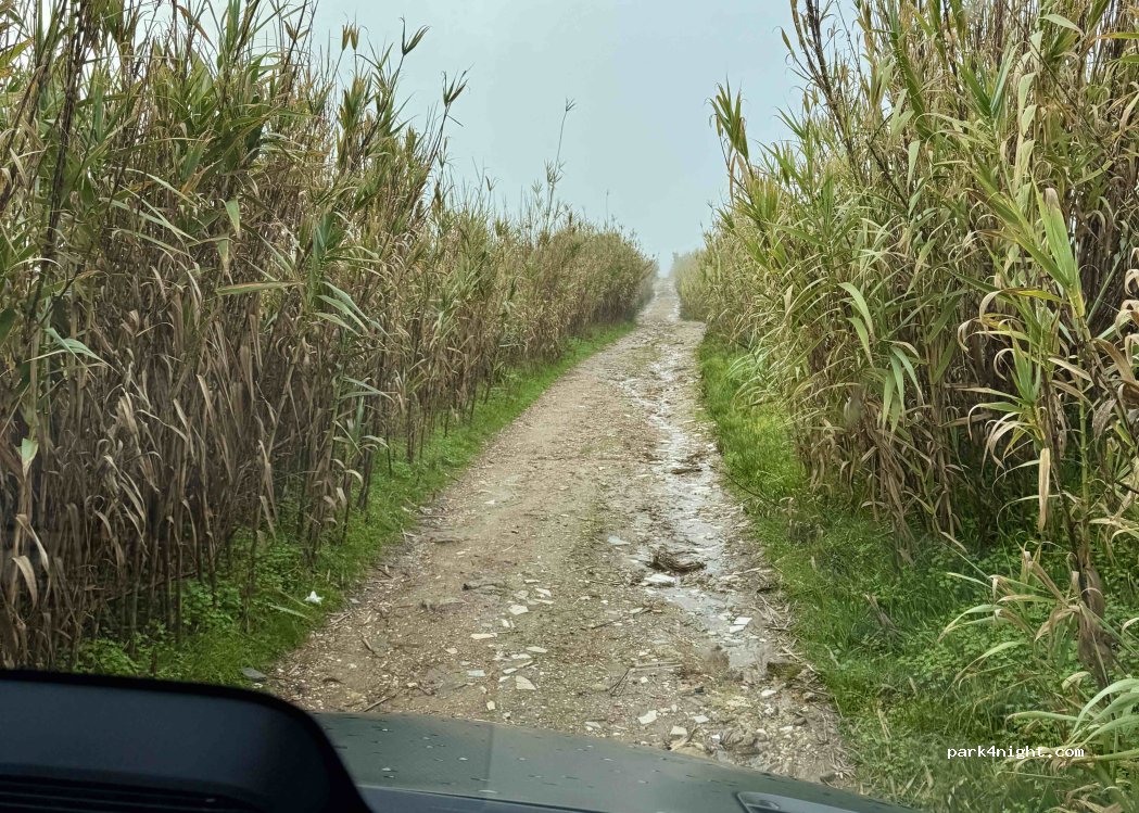(2705) São João das Lampas - — foto 5