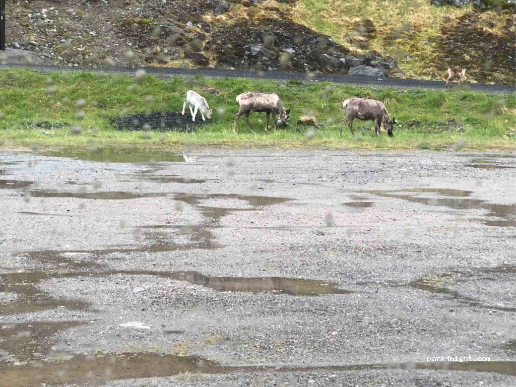 (9600) Hammerfest - 30 Langbuktveien — foto 2