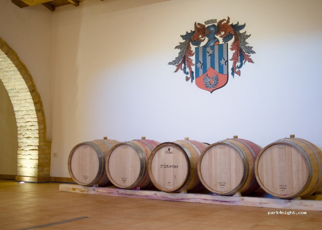 D'Erasmo Vini — foto 3