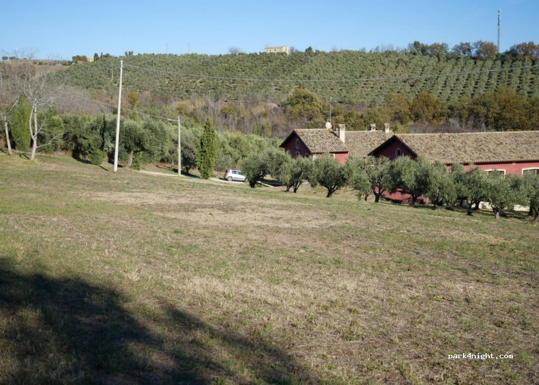 D'Erasmo Vini — foto 4
