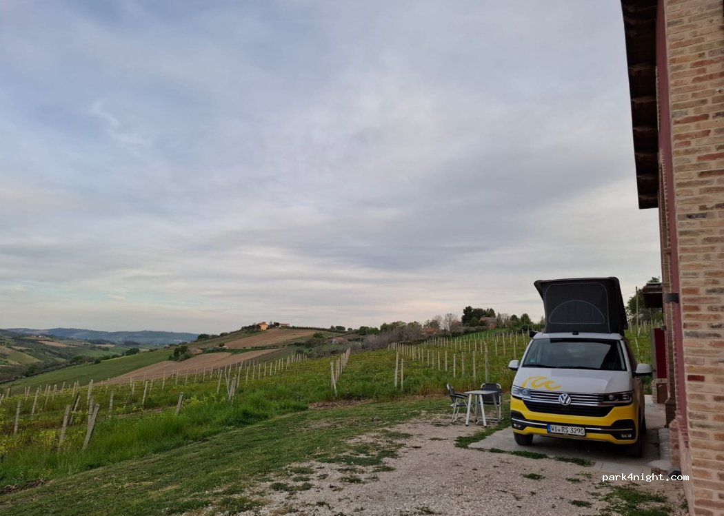 D'Erasmo Vini — foto 5