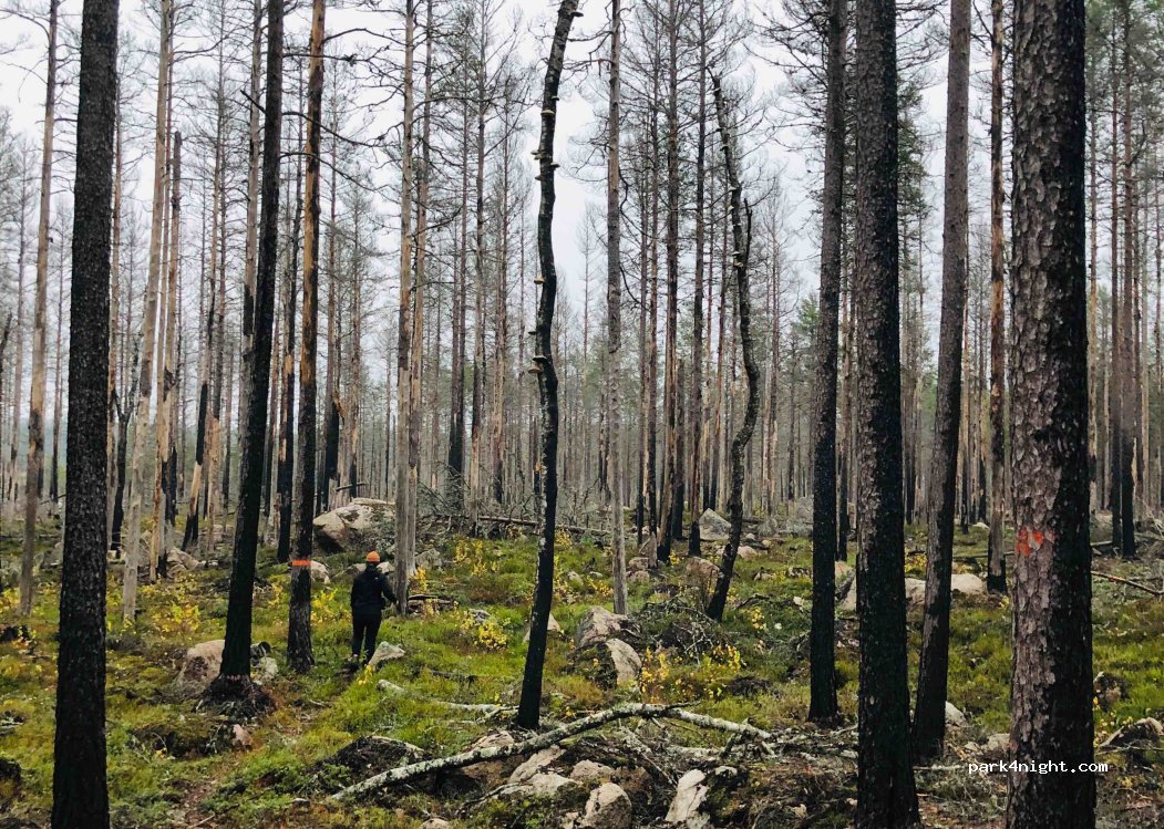 (683 91) Hagfors - Unnamed Road — foto