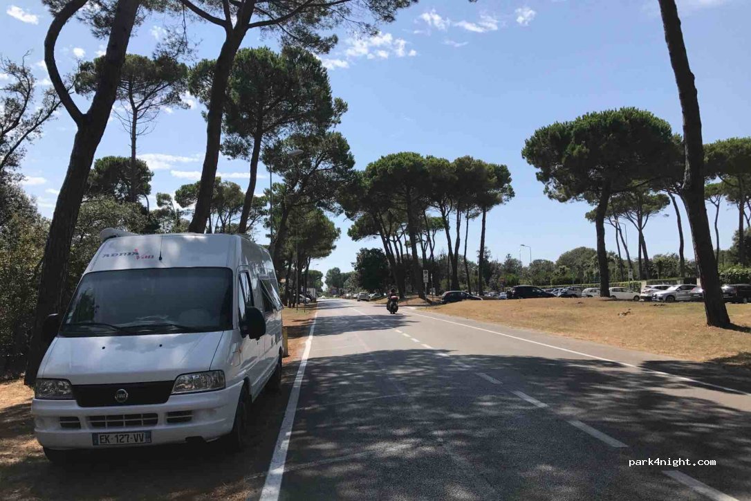(56128) Marina di Pisa-tirrenia-calambr - 16 Via San Guido — foto 2