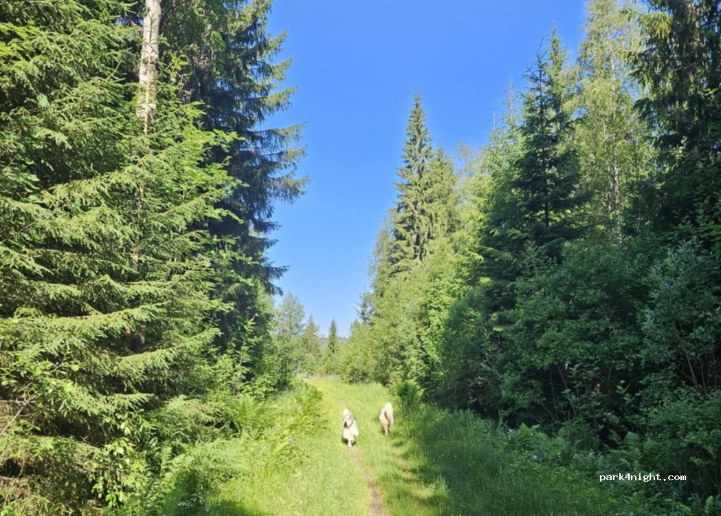 (770 10) Fredriksberg - 2 Säfsbyn — foto
