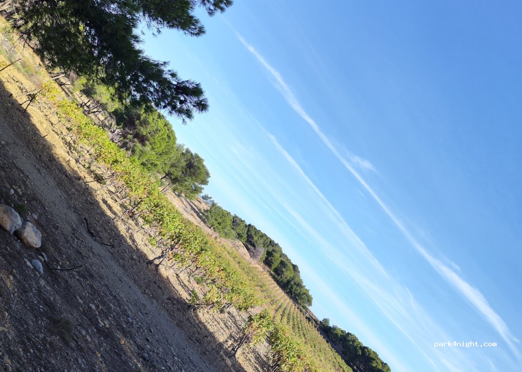 (11430) Gruissan - — foto 4