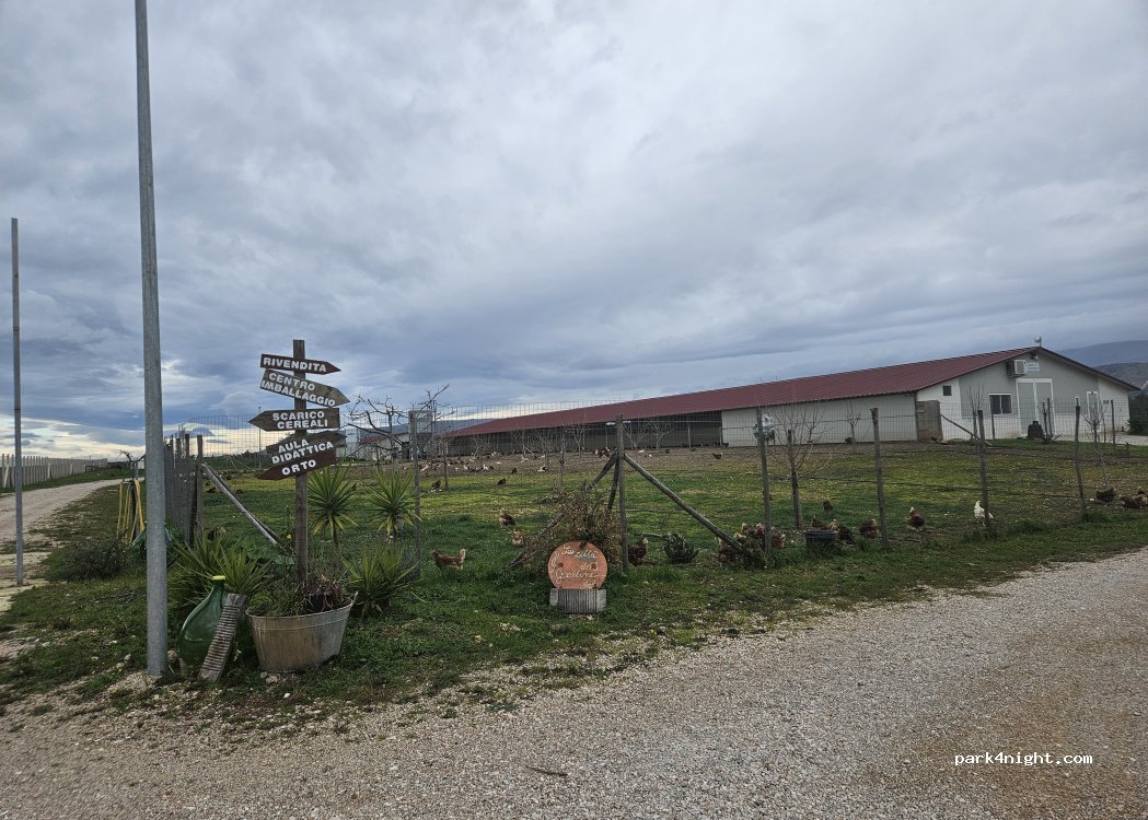 Tuorlo Biancofiore - Nobiluovo de natura — foto 2