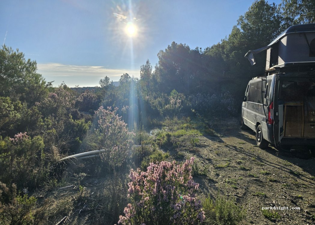 (43459) El Pinetell - — foto