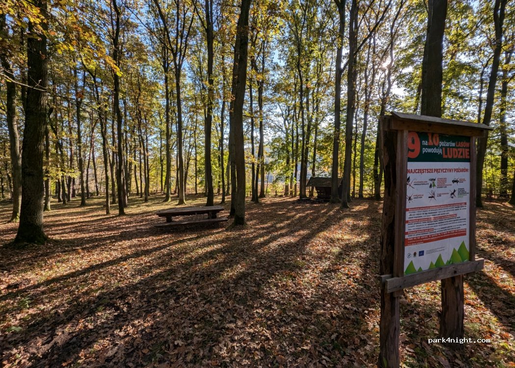 (32-444) Głogoczów - E77 — foto 2