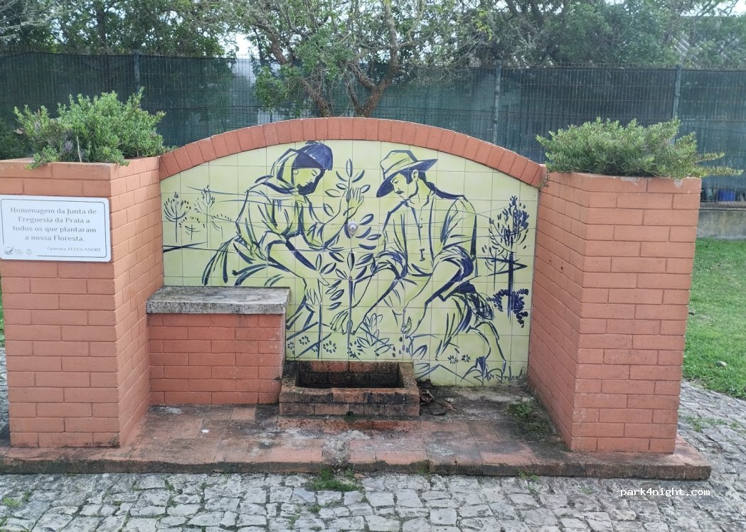 (3070-792) Praia de Mira - Avenida da Barrinha — foto
