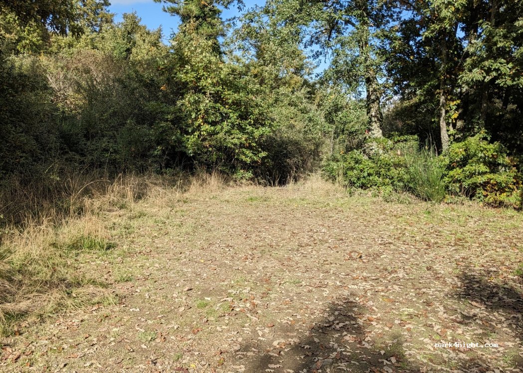 (56041) Castelnuovo di Val di Cecina - — foto