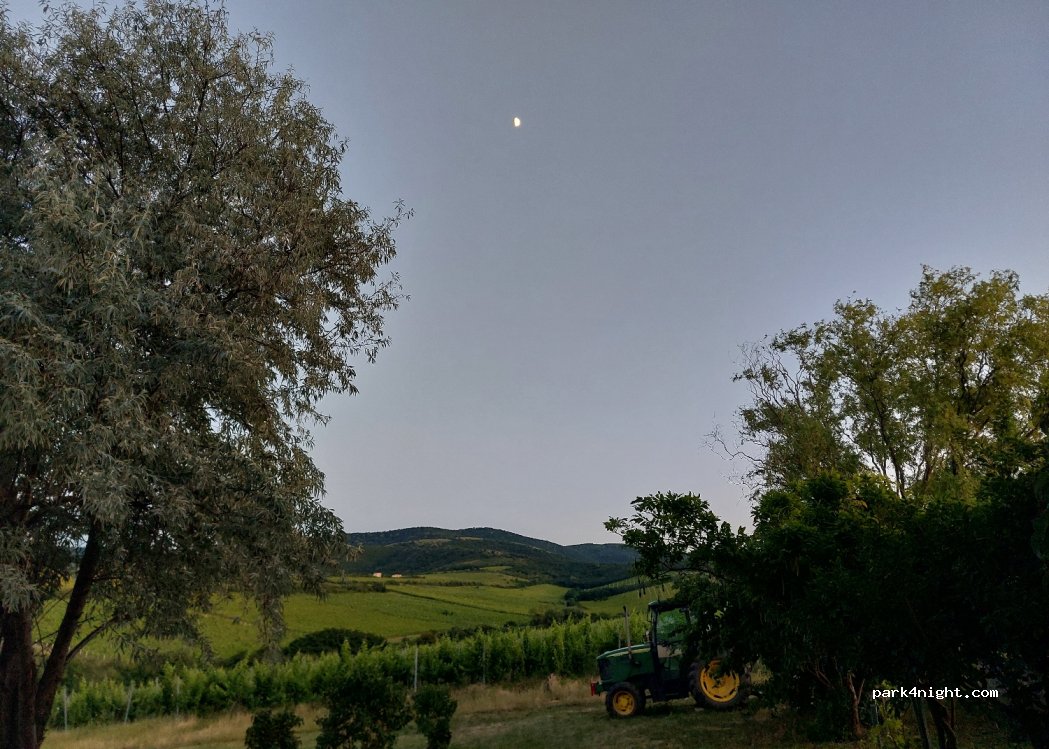 Crama Elite Wine - Podgoria Minis Maderat — foto 3