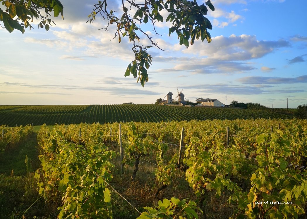 Domaine Marçais — foto 2