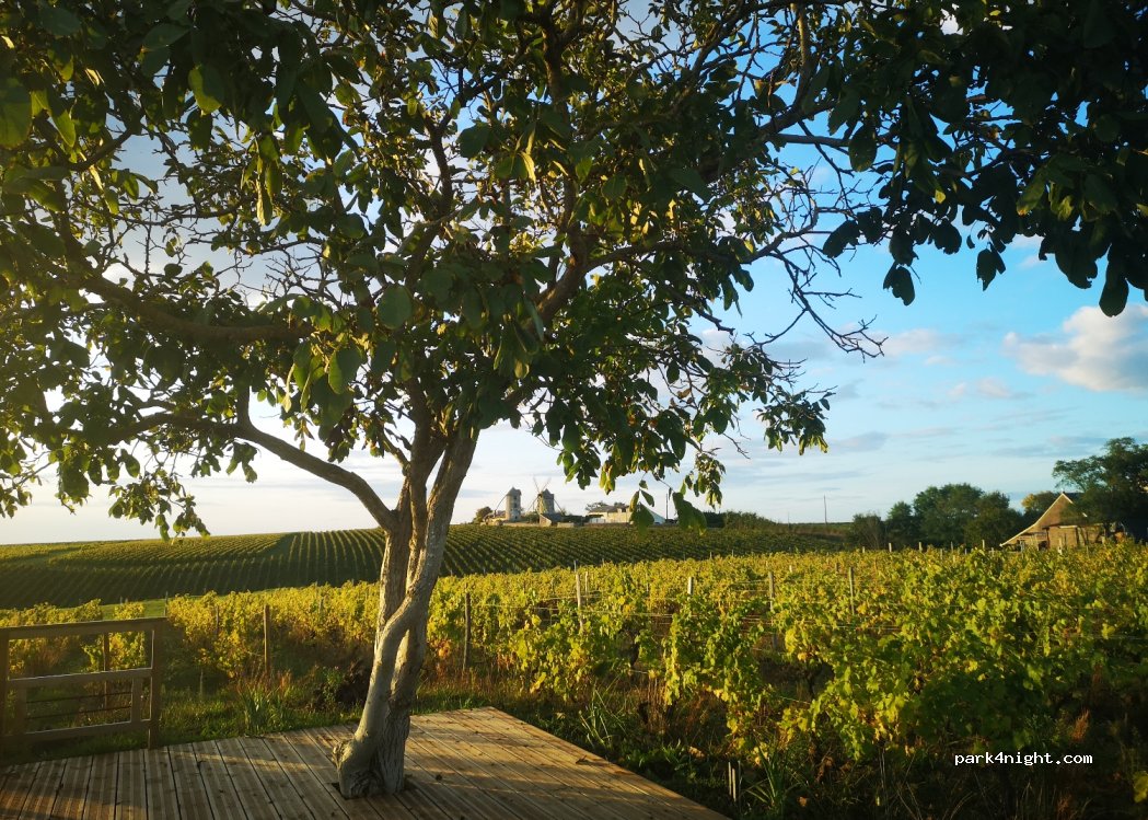 Domaine Marçais — foto 3