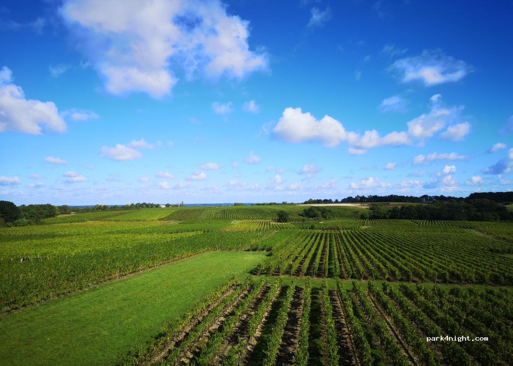 Domaine Marçais — foto 4