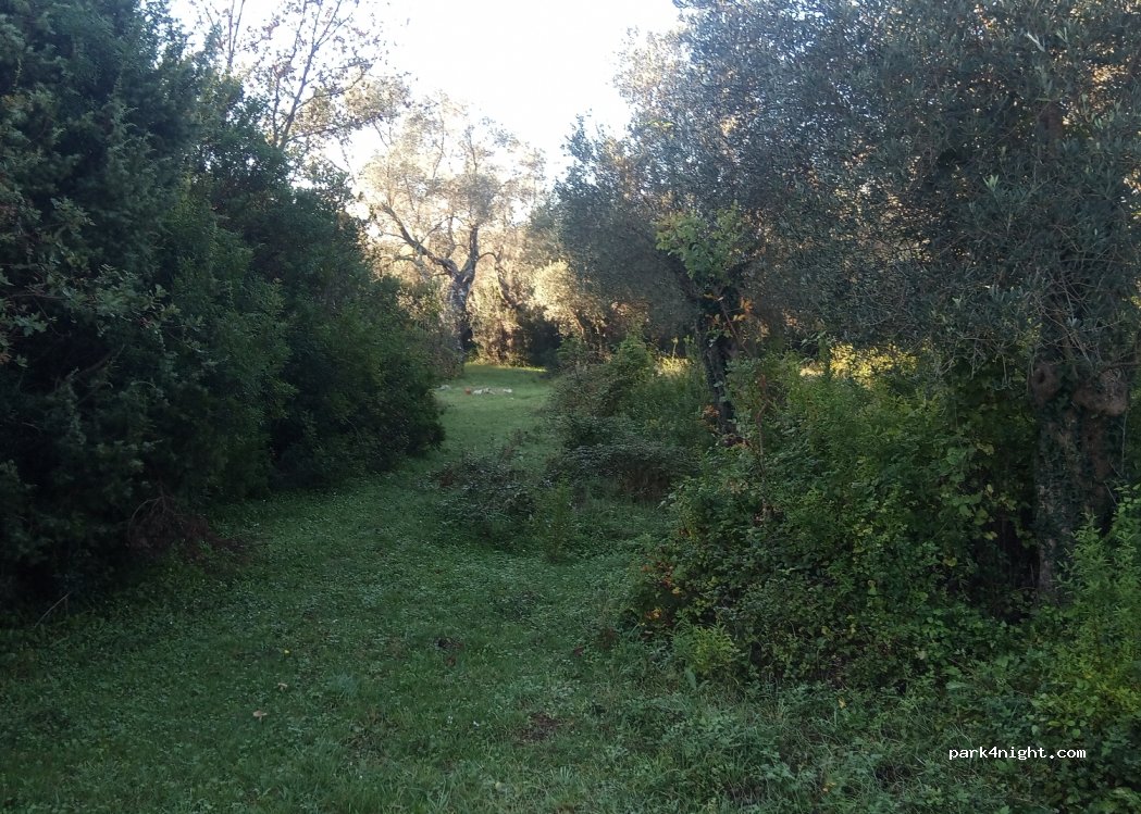 (85323) Merdari - — foto