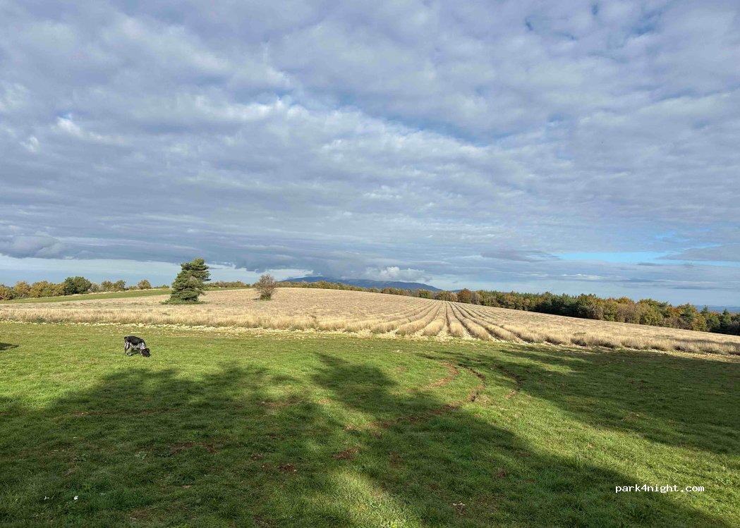 (84390) Saint-Christol - Unnamed Road — foto