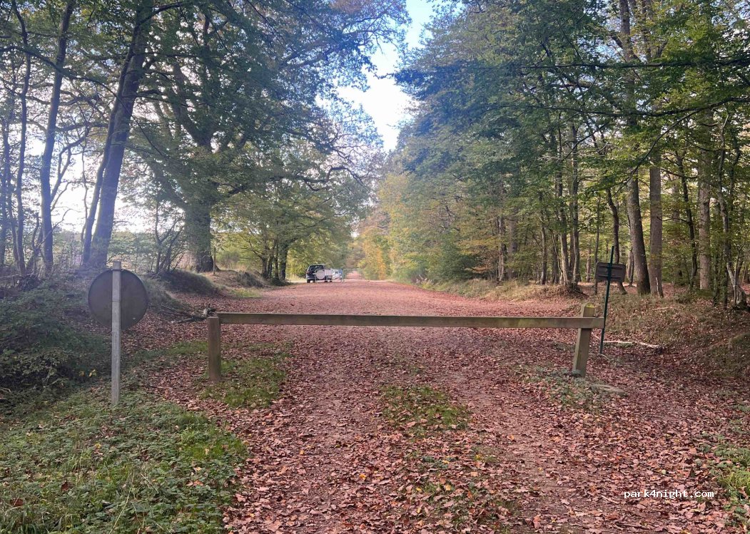 (45200) Paucourt - 420 Route du Chêne Gaulé — foto 2