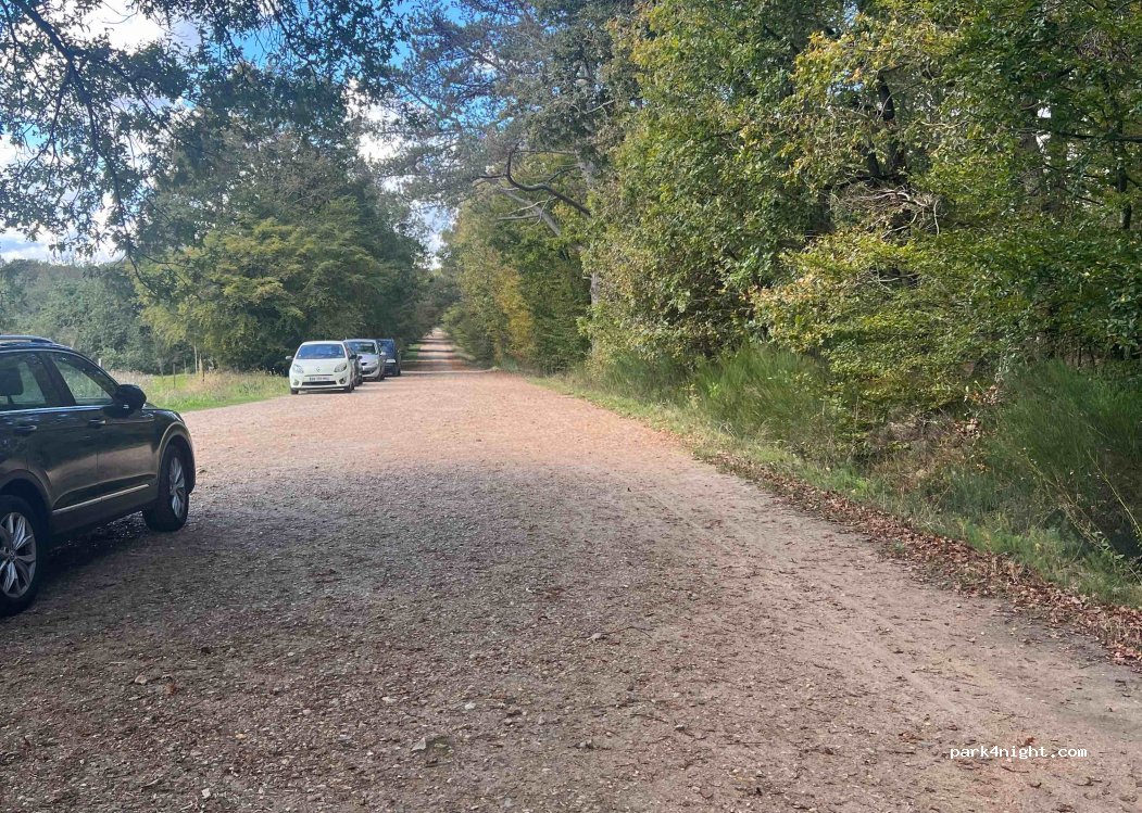(45200) Paucourt - 420 Route du Chêne Gaulé — foto 3