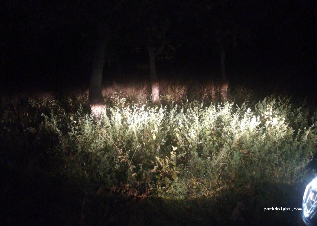 (84220) Beaumettes - 415 Route de Gordes — foto