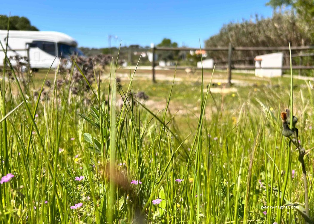 Monte Novo — foto 3