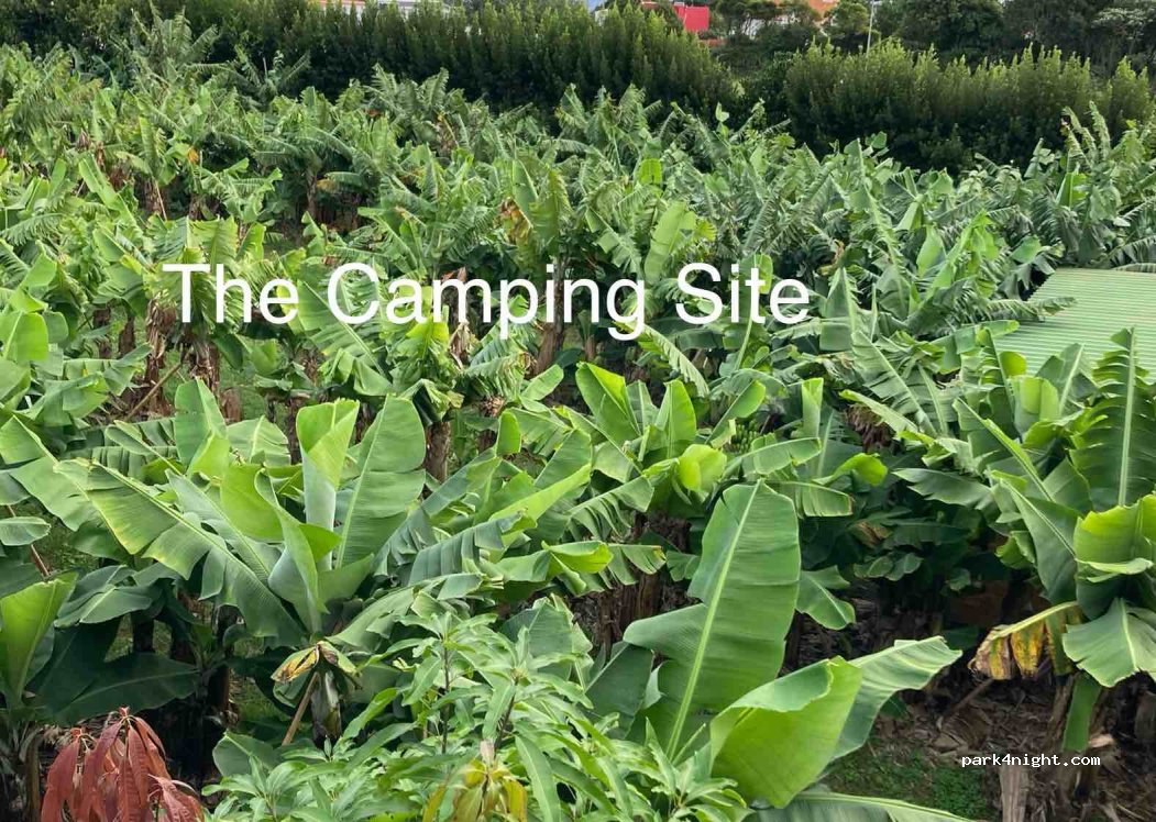 Banana Eco Camp — foto 2